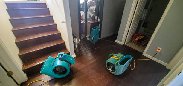 Best Water damage repair service  in Fulton, MS