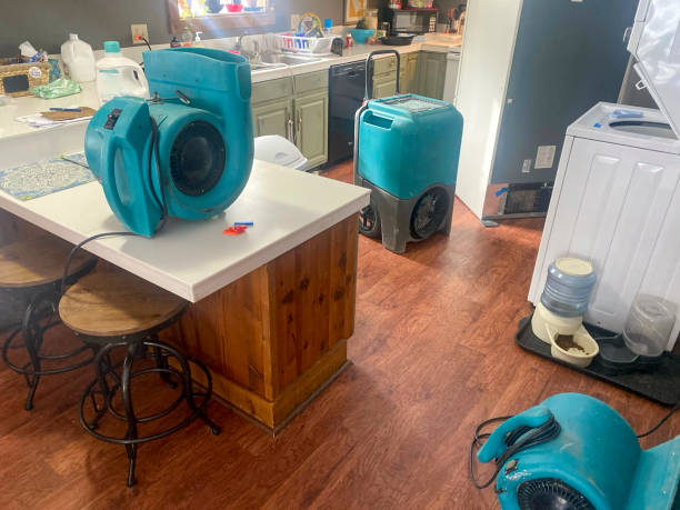 Best Basement water damage restoration  in Fulton, MS