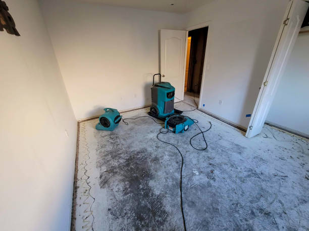 Best Carpet water damage restoration  in Fulton, MS