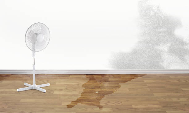 Best Commercial water damage restoration  in Fulton, MS