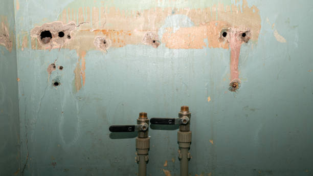 Best Fire Damage Restoration  in Fulton, MS