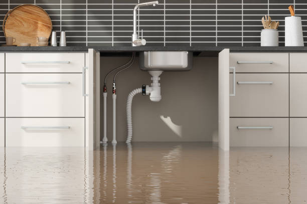 Best Fire Damage Restoration  in Fulton, MS