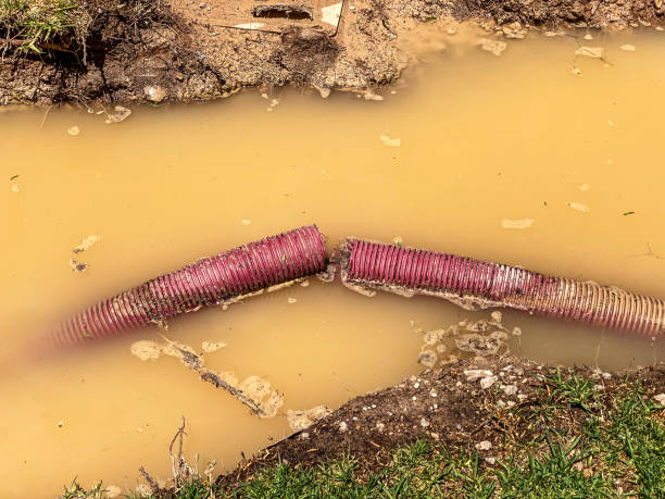 Best Water damage restoration process  in Fulton, MS