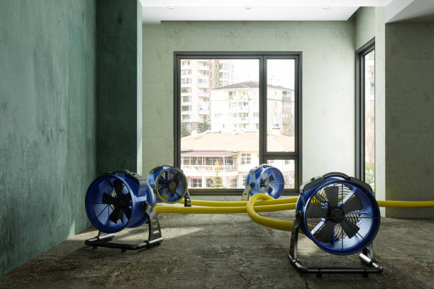 Best Sewage cleanup and water damage restoration  in Fulton, MS